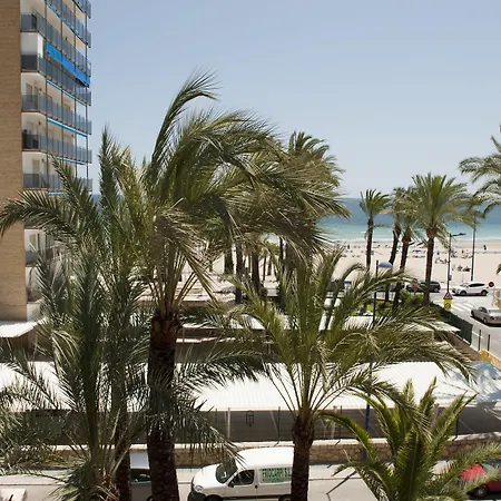El Palmeral 3*
