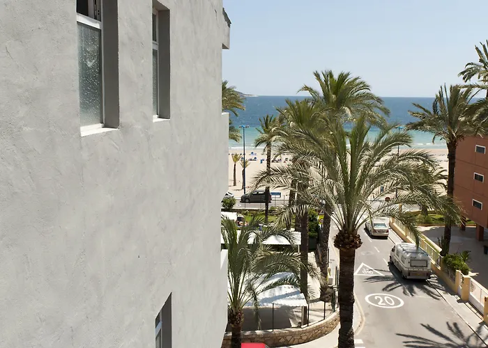 El Palmeral Hotel