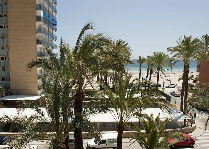 El Palmeral 3*