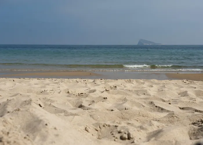El Palmeral