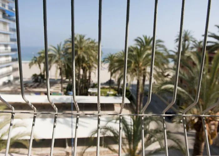 El Palmeral 3*