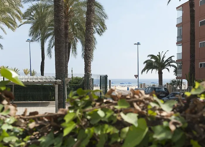 Hotel El Palmeral 3*