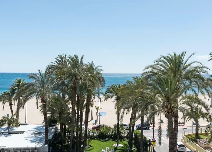 El Palmeral 3*