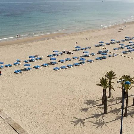 Отель El Palmeral