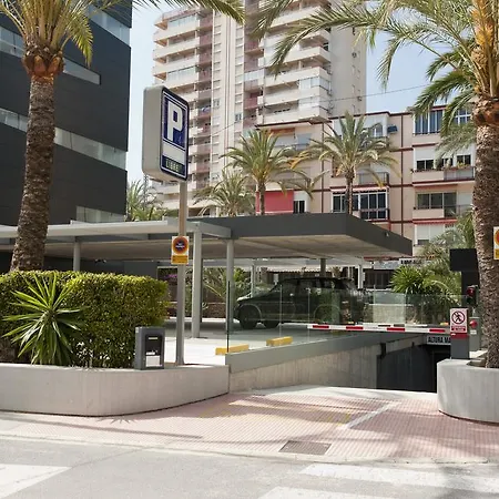 El Palmeral