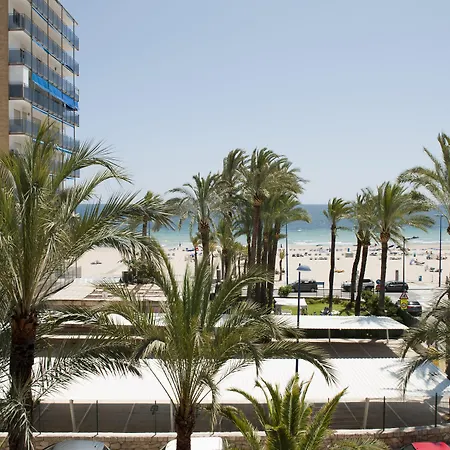 Hotel El Palmeral Benidorm