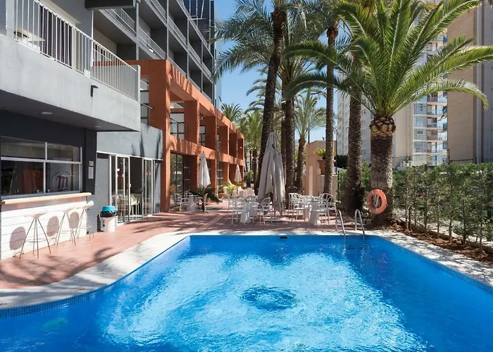 Отель El Palmeral