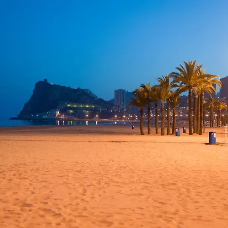 호텔 El Palmeral
