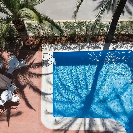 호텔 El Palmeral