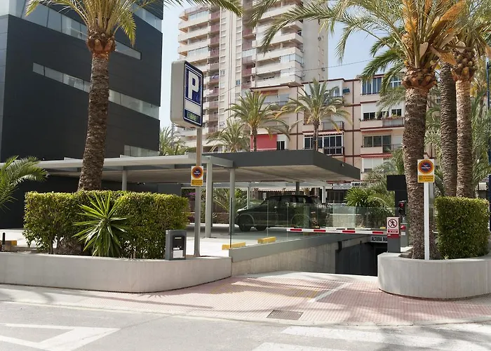 El Palmeral